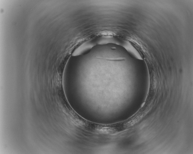 X0000087390467200704201247