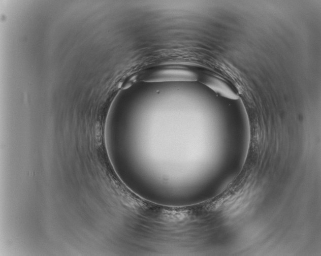 X0000087390469200704201247