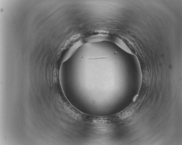 X0000087390470200704201247