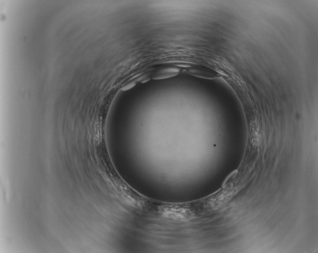 X0000087390471200704201247