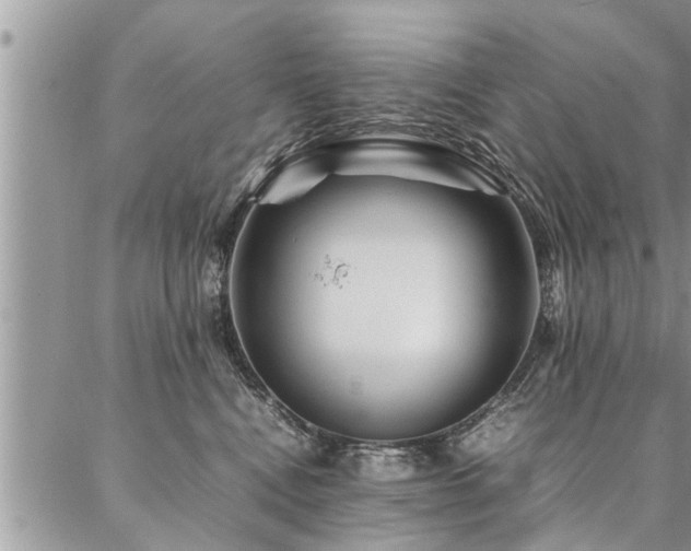 X0000087390472200704201247