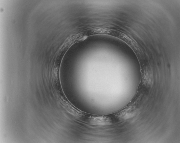 X0000087390473200704201247