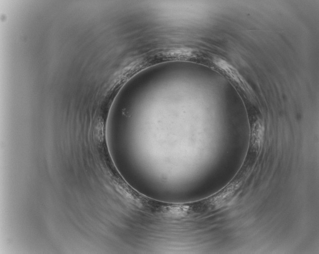 X0000087390474200704201247