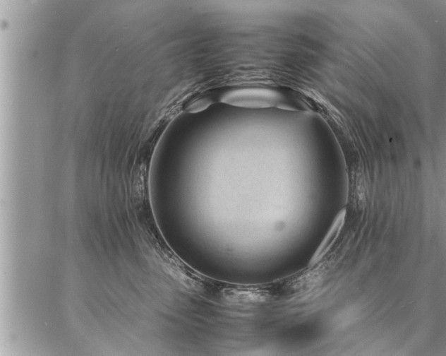 X0000087390475200704201247