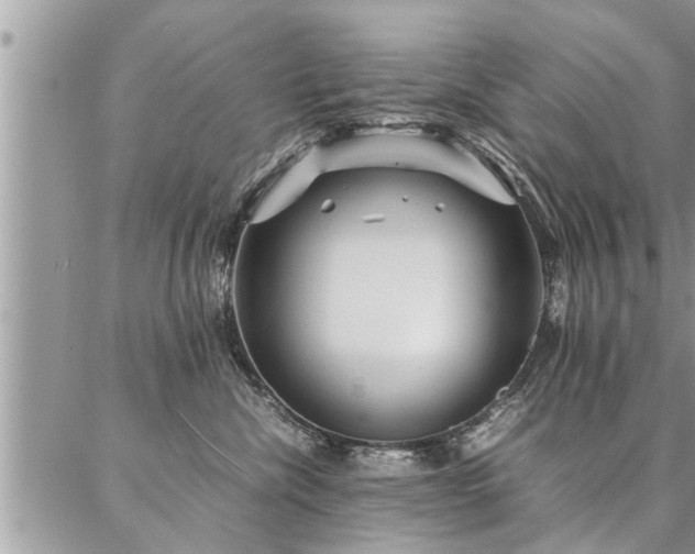 X0000087390476200704201247