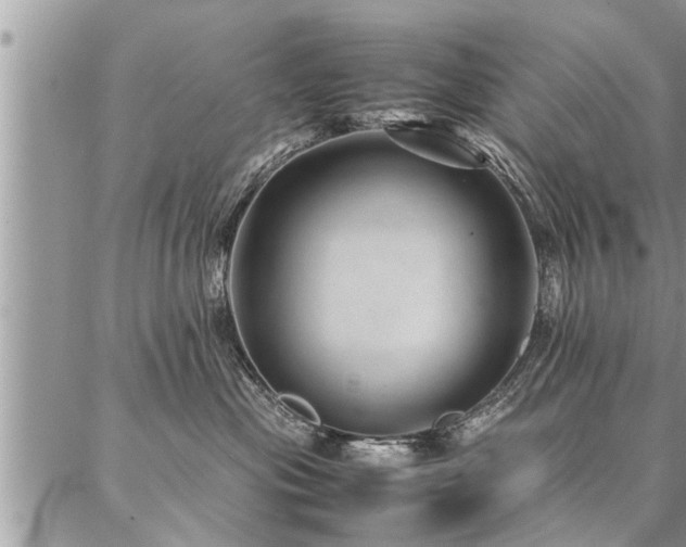 X0000087390477200704201247