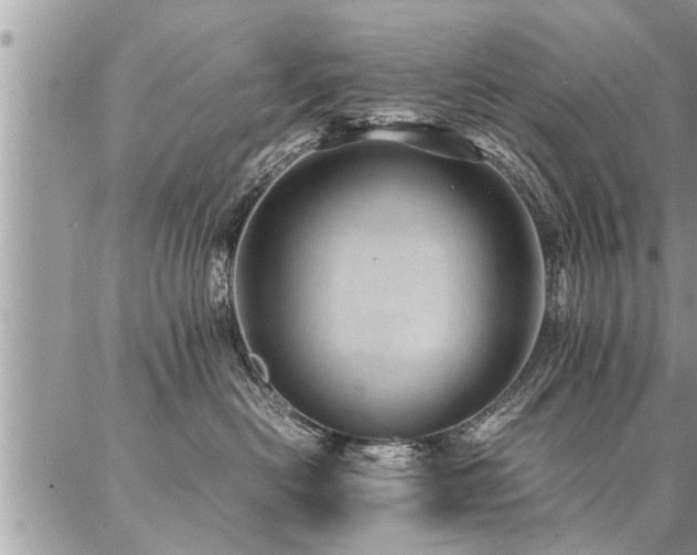 X0000087390478200704201247