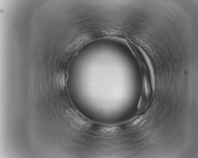 X0000087390479200704201247