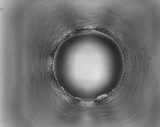 X0000087390480200704201247