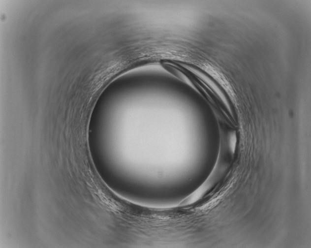 X0000087390481200704201246