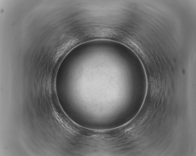 X0000087390482200704201246