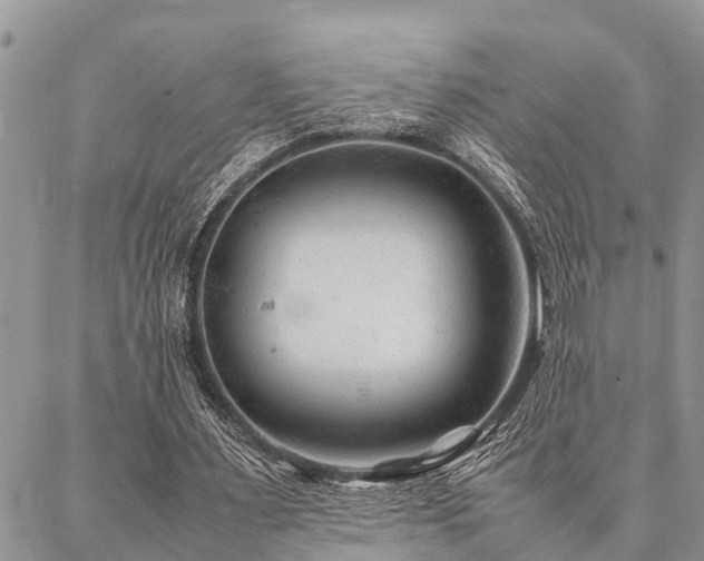 X0000087390483200704201246