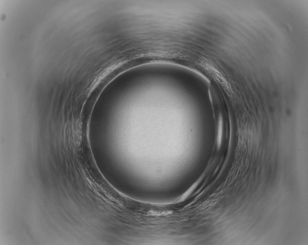 X0000087390484200704201246