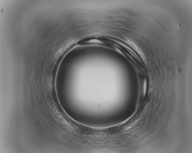 X0000087390485200704201246