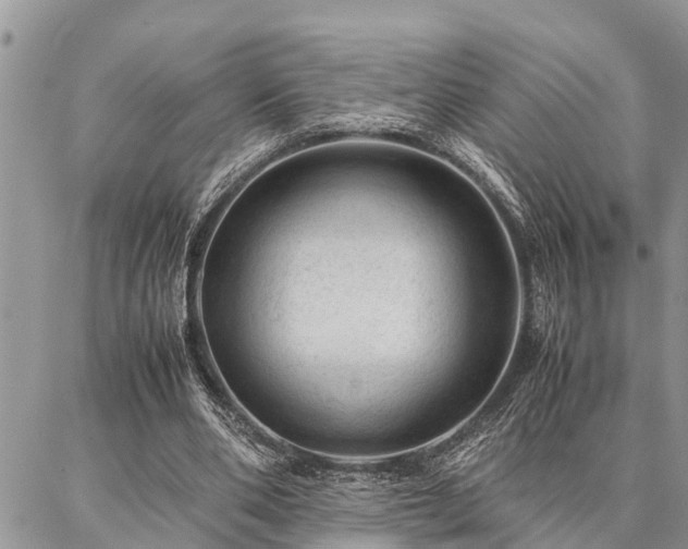 X0000087390486200704201246