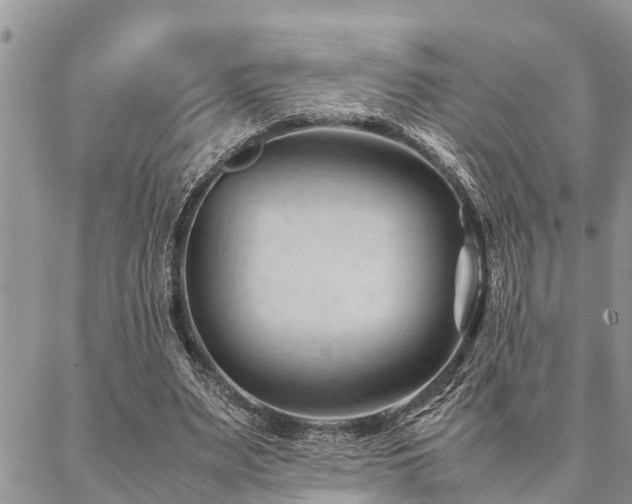 X0000087390487200704201246