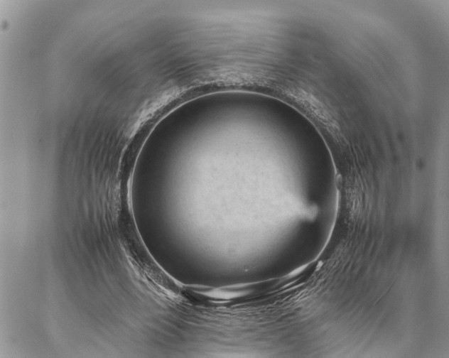 X0000087390488200704201246