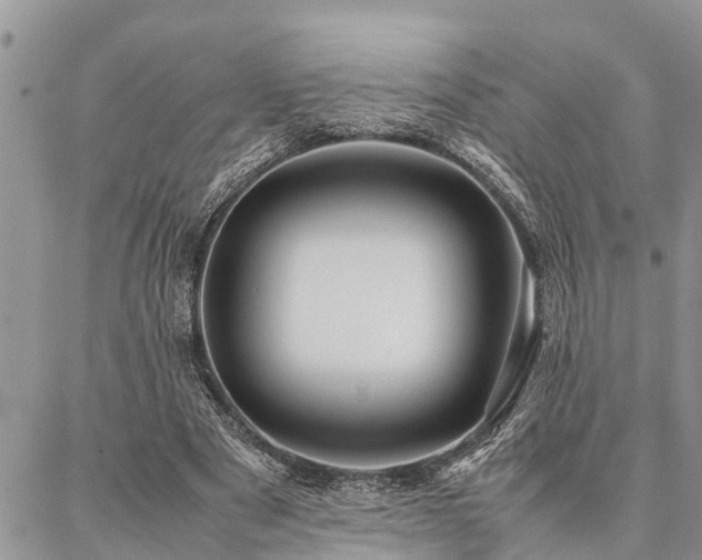 X0000087390489200704201246