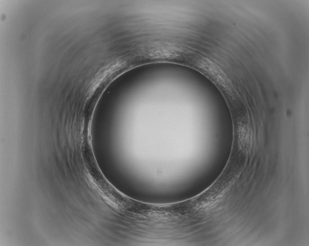 X0000087390490200704201246