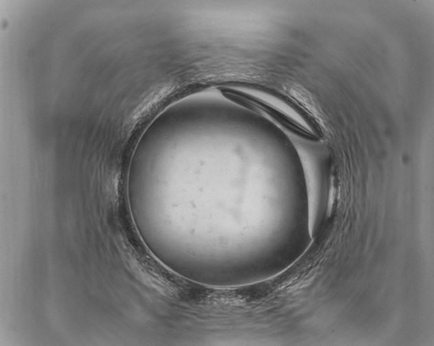 X0000087390491200704201246