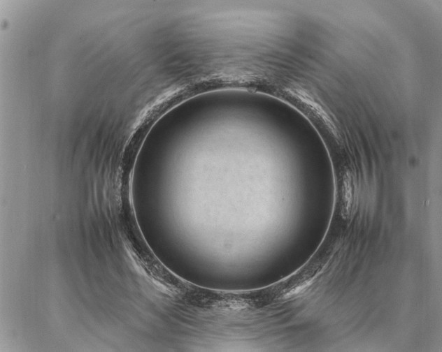 X0000087390492200704201246