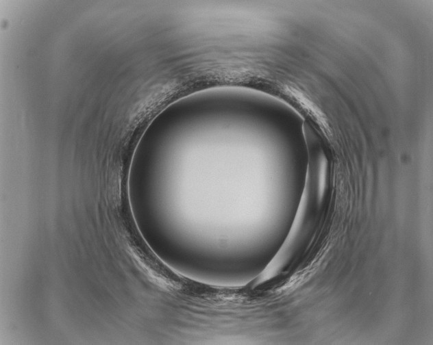 X0000087390493200704201246