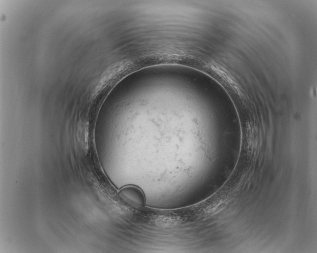 X0000087390494200704201246