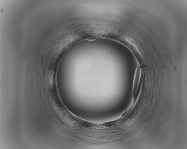 X0000087390495200704201246