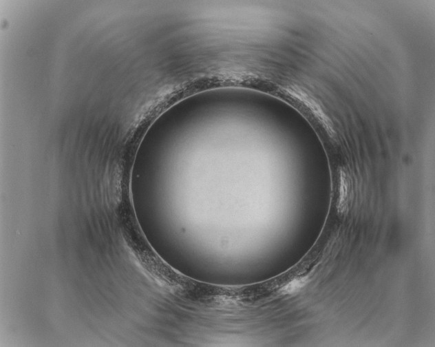 X0000087390496200704201246