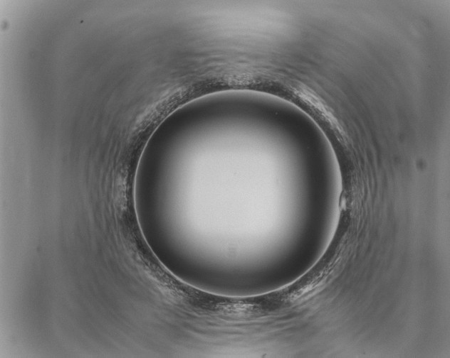 X0000087390497200704201246