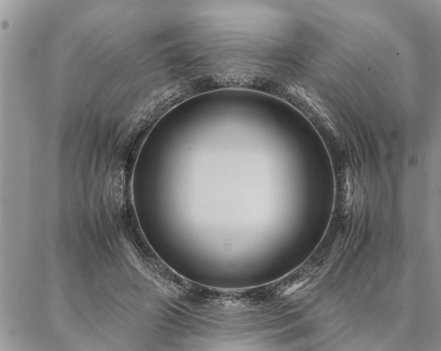 X0000087390498200704201246