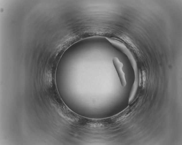 X0000087390500200704201246