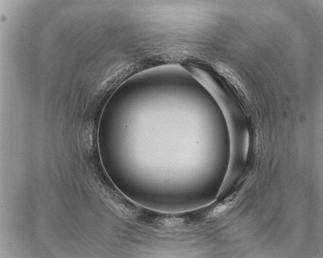 X0000087390501200704201246