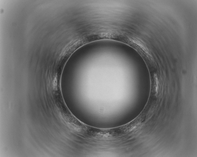 X0000087390502200704201246