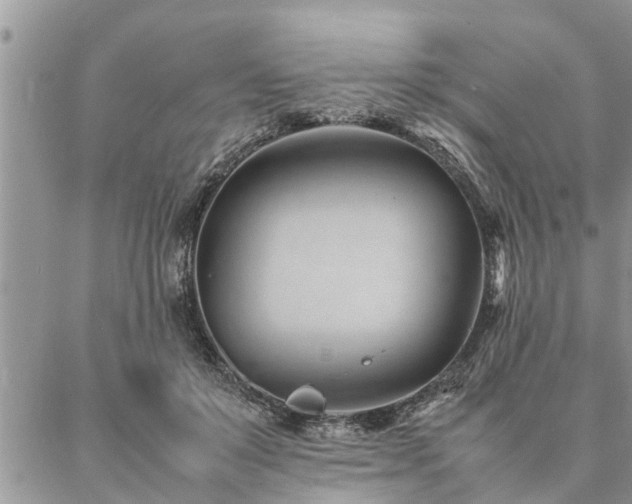 X0000087390503200704201246