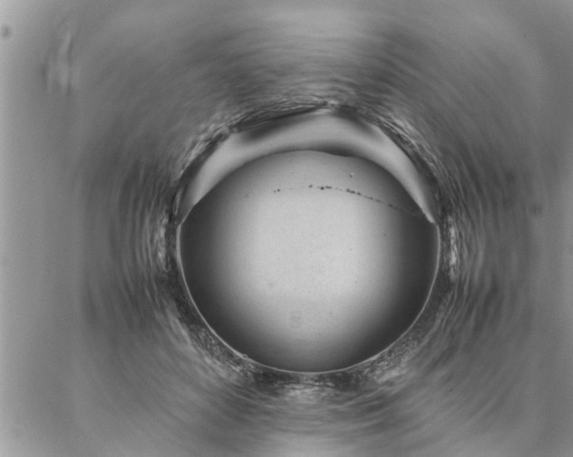 X0000087390504200704201246