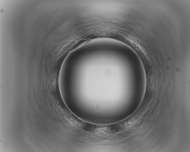 X0000087390505200704201246