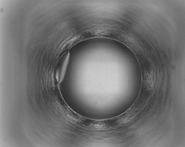 X0000087390506200704201246