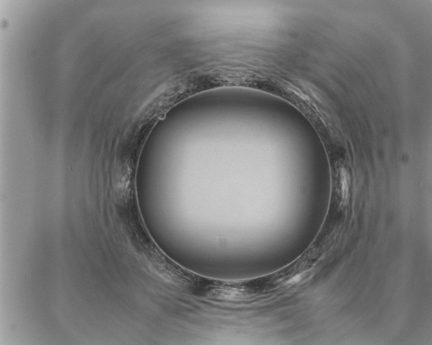 X0000087390507200704201246