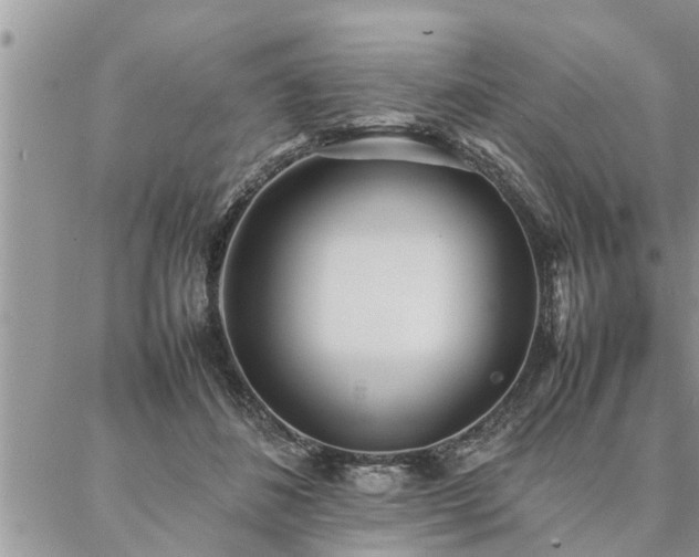 X0000087390508200704201246