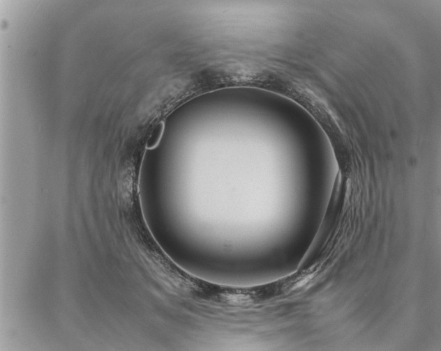 X0000087390509200704201246