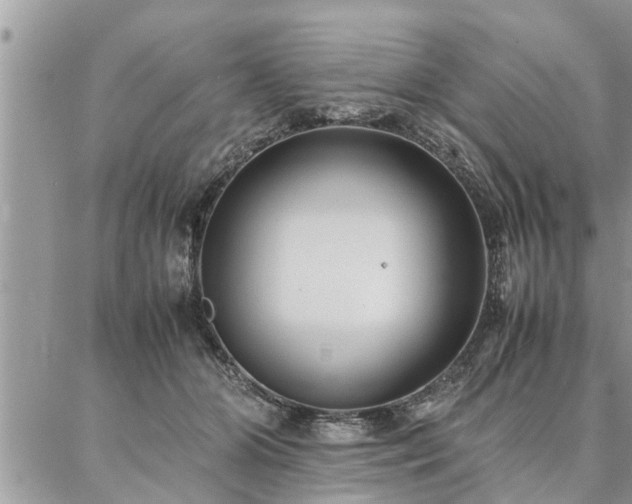 X0000087390510200704201246