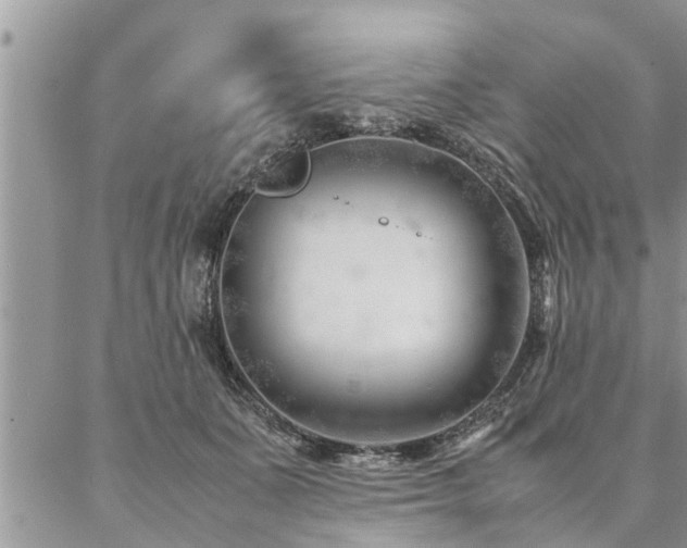 X0000087390511200704201246