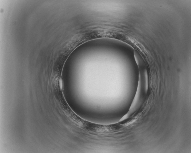 X0000087390513200704201245