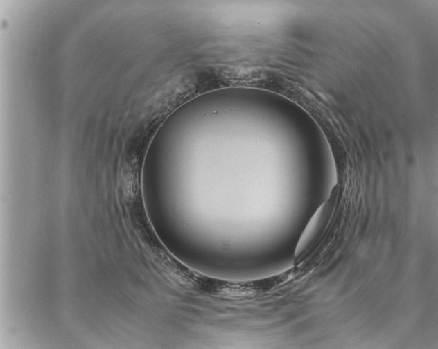 X0000087390515200704201245