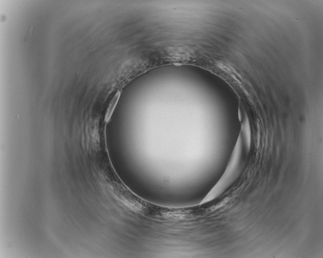 X0000087390516200704201245