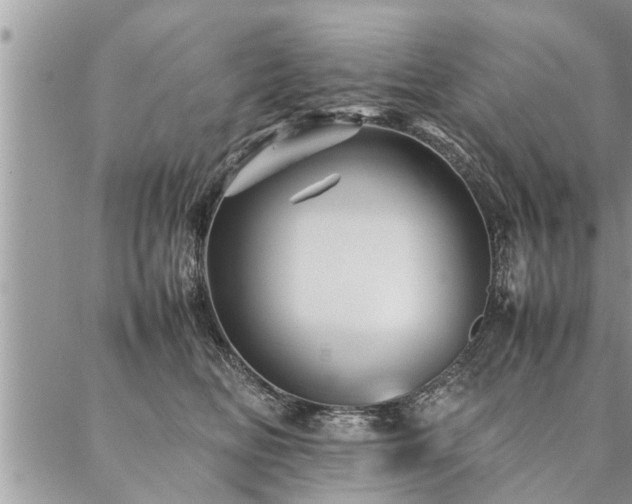 X0000087390518200704201245