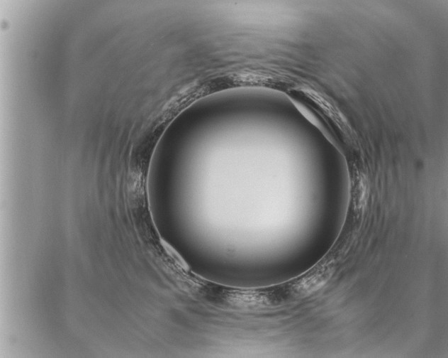 X0000087390521200704201245