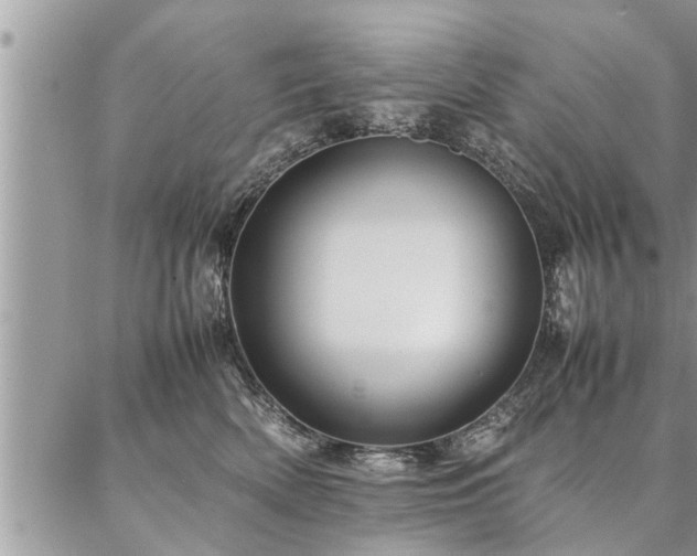 X0000087390522200704201245