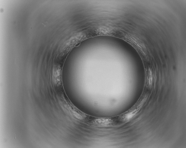 X0000087390526200704201245